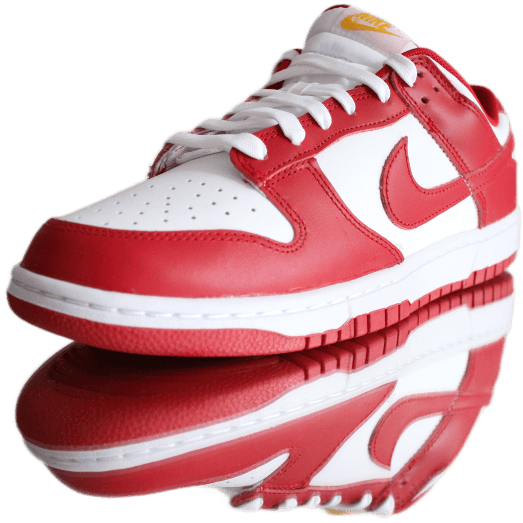 Nike Dunk Low USC Vaditim