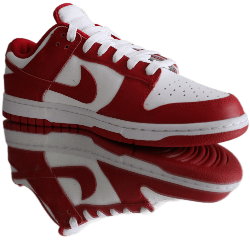 Nike Dunk Low USC Vaditim