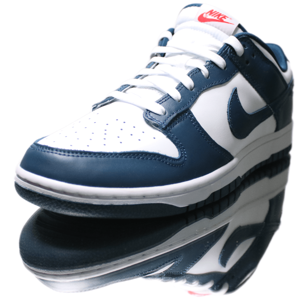 Nike Dunk Low Valerian Blue Vaditim