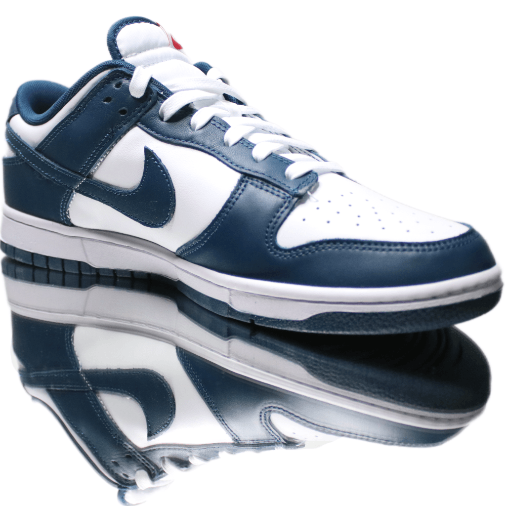 Nike Dunk Low Valerian Blue Vaditim