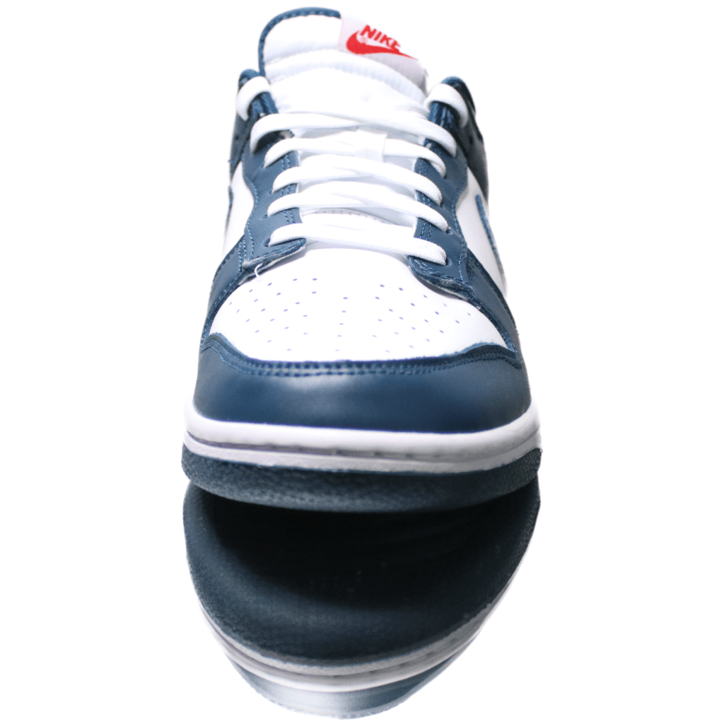 Nike Dunk Low Valerian Blue Vaditim