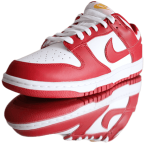 Nike Dunk Low USC  Vaditim   